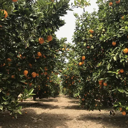 مزرعة للإقامة Kalivie Bio Farm & Retreat Moírai